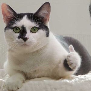 Meet your Posher, Kelly